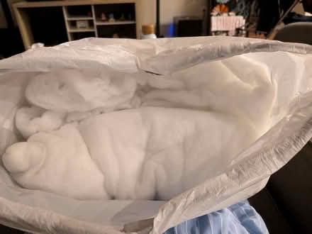 Photo of free Polyester batting (Belmont Ave W & Glasgow St) #1