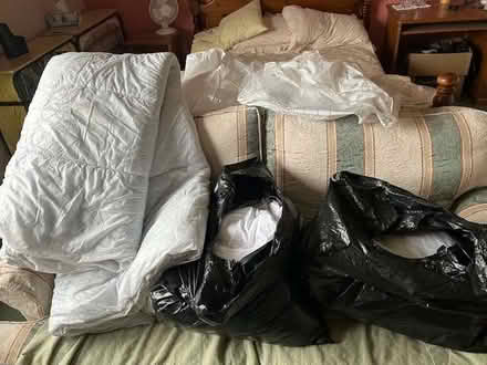 Photo of free Selection very old pillows and duvets (Furzton MK4) #3