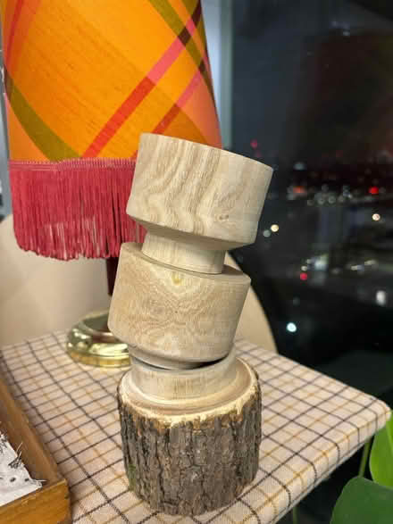 Photo of Logs for wood turning (SE5) #3