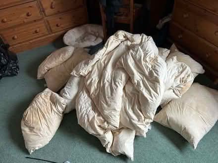 Photo of free Selection very old pillows and duvets (Furzton MK4) #1