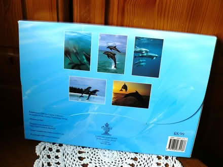 Photo of free New card/envelopes set (dolphins) (Woodside WD25) #2