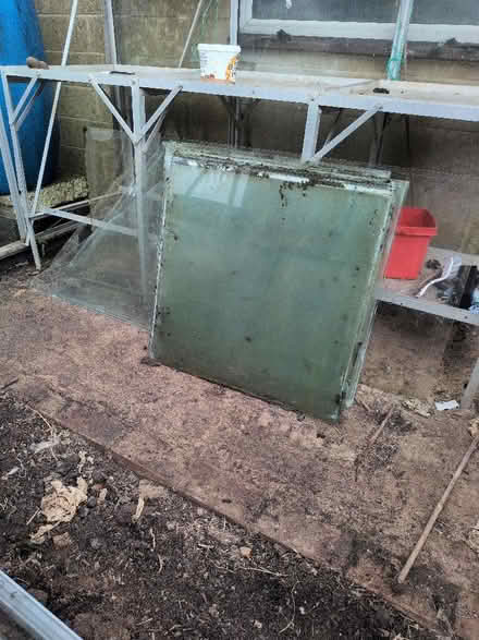 Photo of free Glass panes for green house and door (Bathampton) #3