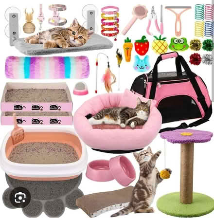 Photo of Cat scratcher/ litter tray (Hampden Park BN22) #1