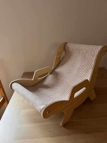 Photo of free Cat “deckchair” (Oxford, OX4 7) #1