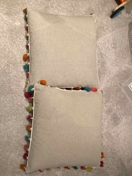 Photo of free Decorative cushions x 2 (SW19) #1