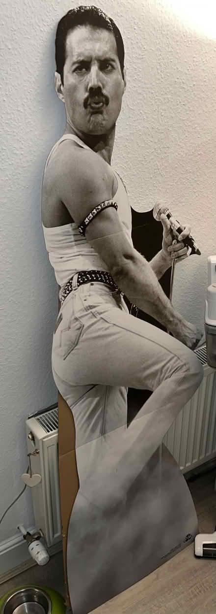 Photo of free Freddie Mercury at Live Aid cardboard standing figure (Bernards Heath AL3) #1