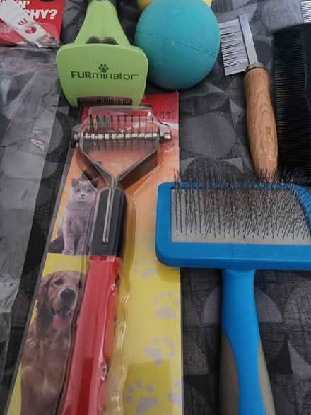 Photo of free Dog grooming bits (Portchester PO16) #3