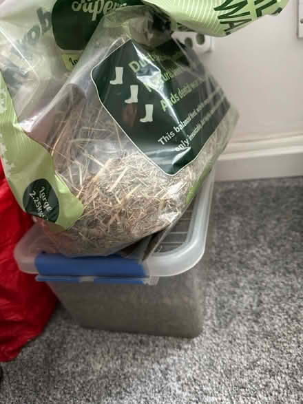 Photo of free Guinea pig items (Windermere) #1