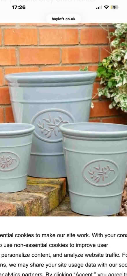 Photo of Plant pots (Hornchurch RM12) #1