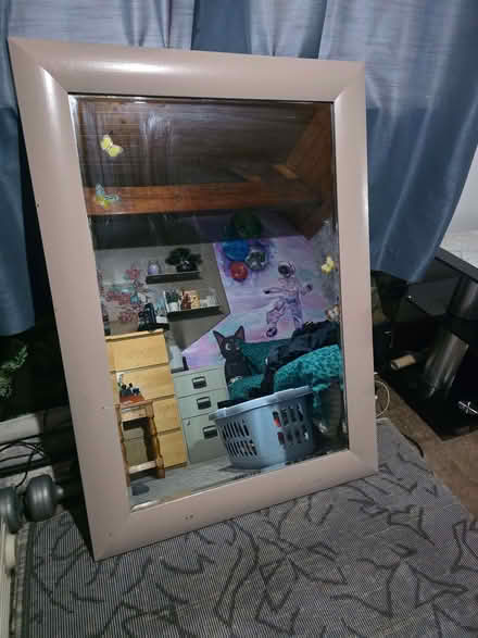 Photo of free Big mirror (South Dykes CA11) #1