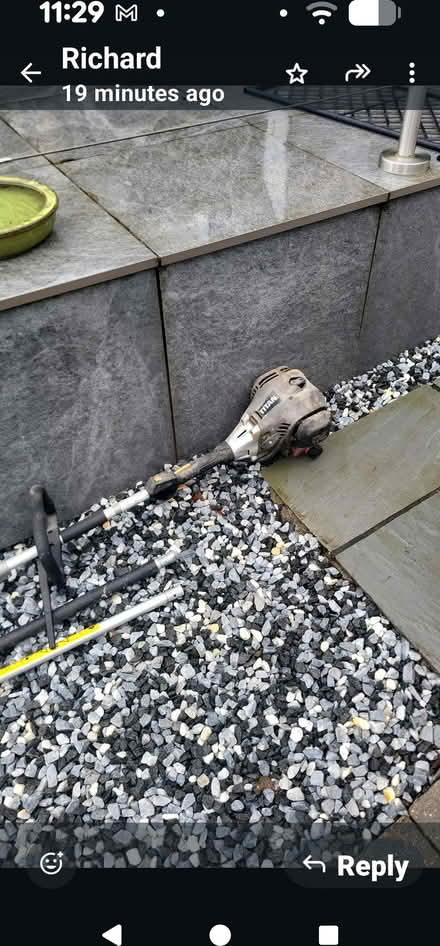 Photo of free Petrol lawnmower and petrol hedge trimmer (Pant SY10) #1