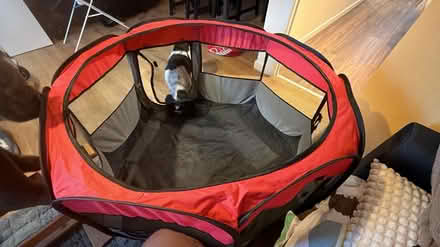 Photo of free Dog playpen (SE23) #1