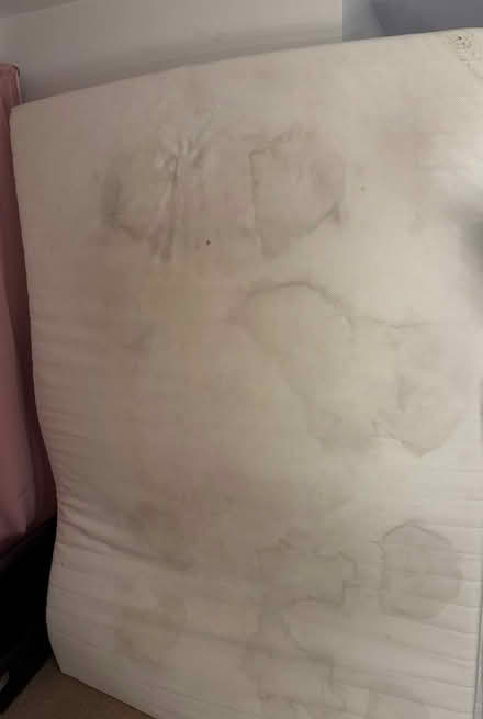 Photo of free Mattrass topper (Kingsyon upon thames KT1) #2