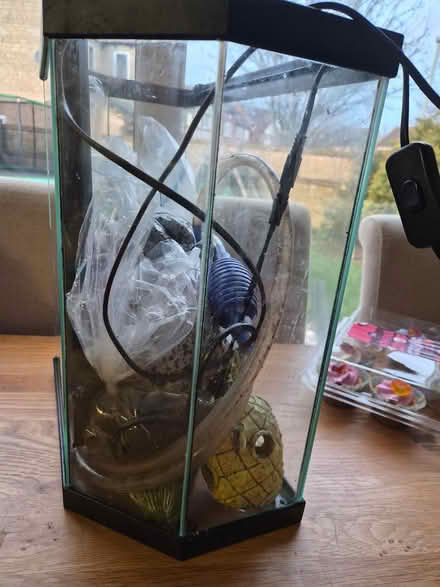 Photo of free Fish tank (GL51 Cheltenham) #1