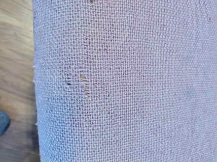 Photo of free Office chair (Herdings, S14) #4