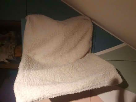 Photo of free Cat radiator bed (Odd Down) #1