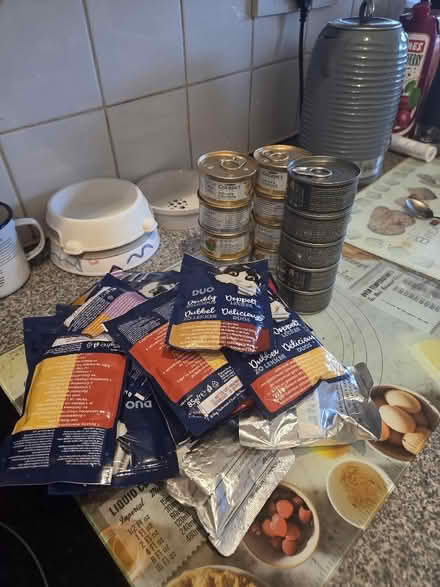 Photo of free Cat food - variety (Lea Industrial Estate AL5) #1