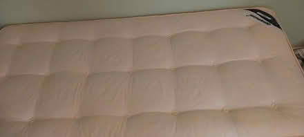 Photo of free Single divan bed (Benniworth LN8) #3