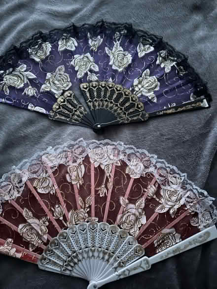 Photo of free Fans (NW71JG) #2