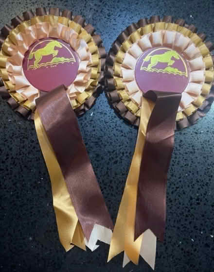 Photo of free 2x horse ribbon pin badges (Newburgh WN8) #1