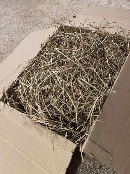 Photo of free Shredded paper for hampers (New Duston) #1