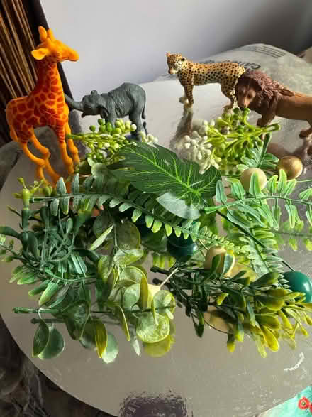 Photo of free Safari cake toppings (Kingswood) #1