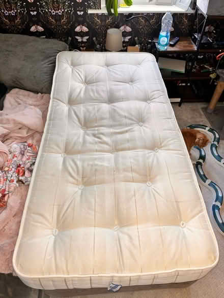 Photo of free Single Mattress (Knowle, Bristol) #3