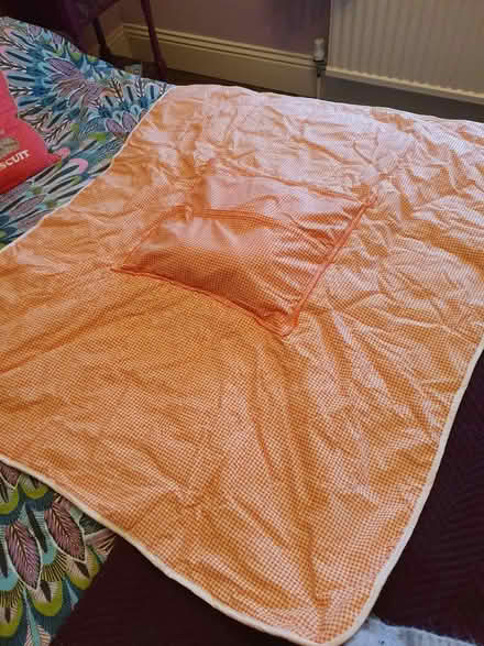 Photo of free Cat cushion/quilt (TS18 Grangefield) #2