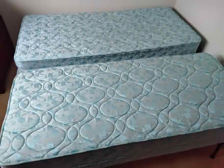 Photo of free Trundle 3 in 1 bed (Carleton Rode NR16) #1