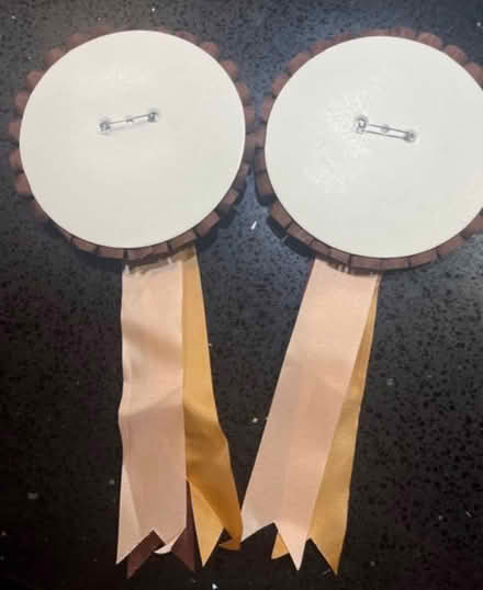 Photo of free 2x horse ribbon pin badges (Newburgh WN8) #2