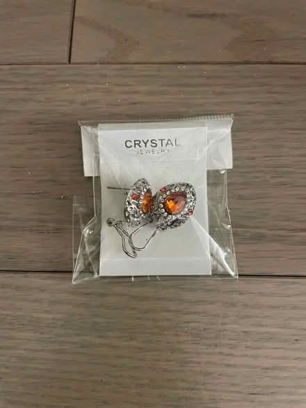 Photo of free Earrings (Kennedy/16th in Markham) #1