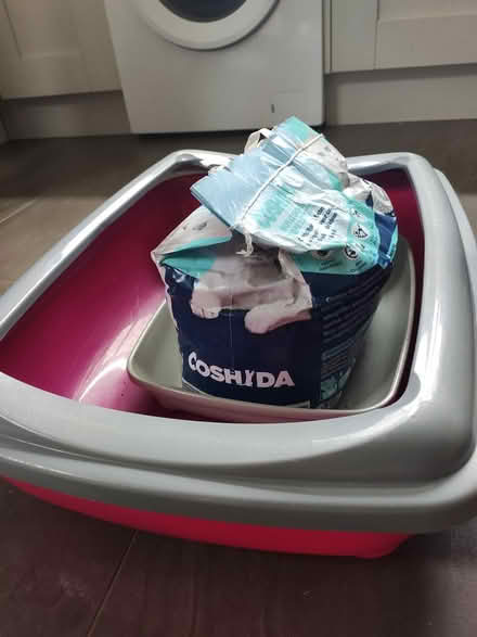 Photo of free Cat hamster fish equipment (Lisburn BT27) #1