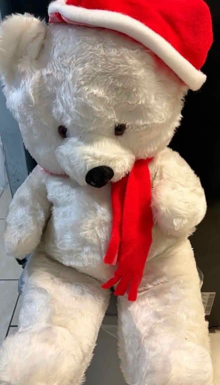 Photo of free Large Teddy (Westbury BA13) #1