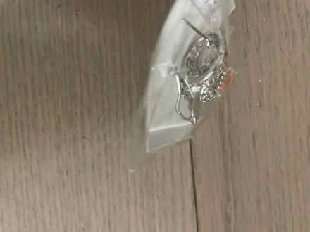 Photo of free Earrings (Kennedy/16th in Markham) #2