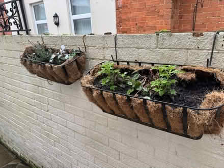 Photo of free Plant pots/ hanging baskets (BR2) #2