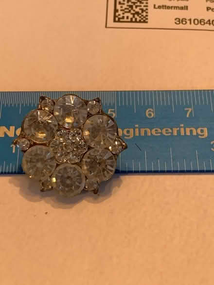 Photo of free Costume Jewelry Brooch (South Brampton) #1
