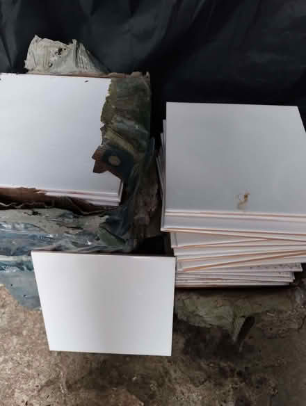 Photo of free c100 Plain white wall tiles (FG) (Enfield EN1) #1
