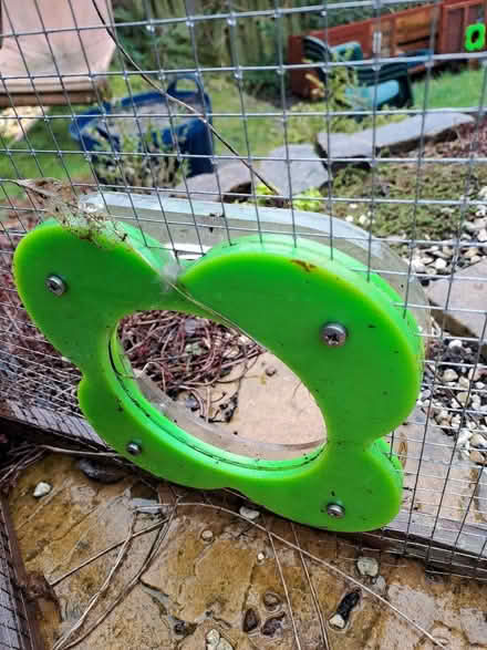 Photo of free Rabit run (Lower Walkley S6) #2