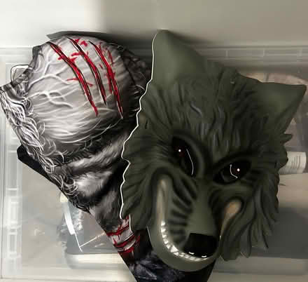 Photo of free Kids werewolf costume 9-10years (Chatham ME4) #1