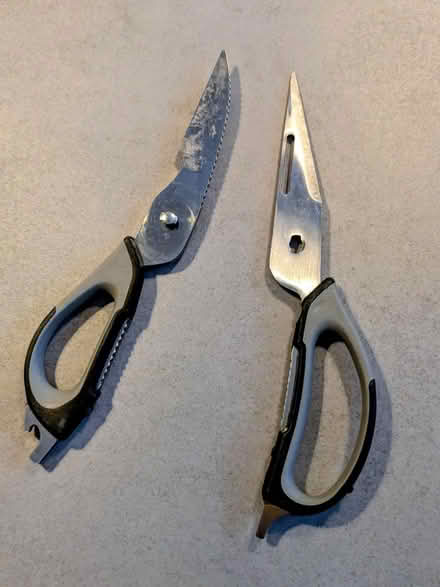 Photo of free Scissors (St Albans AL1) #2
