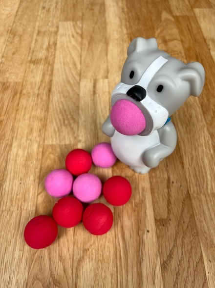 Photo of free Dog Ball Firing Toy (Wainscott) #1