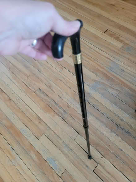 Photo of free Metal walking cane (Manor park) #1