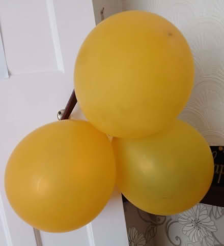 Photo of free 12 gold balloons (Sale M33) #1