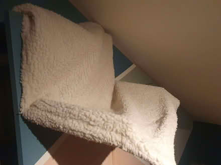 Photo of free Cat radiator bed (Odd Down) #2