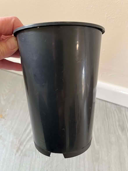 Photo of "Tall" 2 Litre Pots (Three Cocks LD3) #1