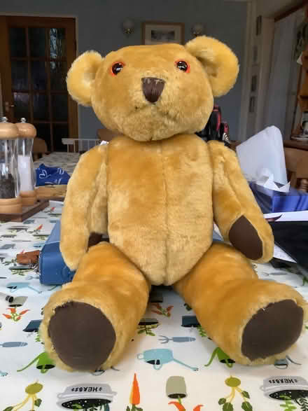Photo of free Teddy Bear (Saughall village CH1) #1