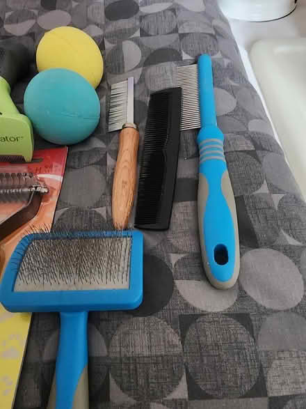 Photo of free Dog grooming bits (Portchester PO16) #4