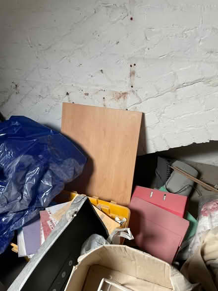 Photo of free Random bits of wood (Didsbury M20) #3
