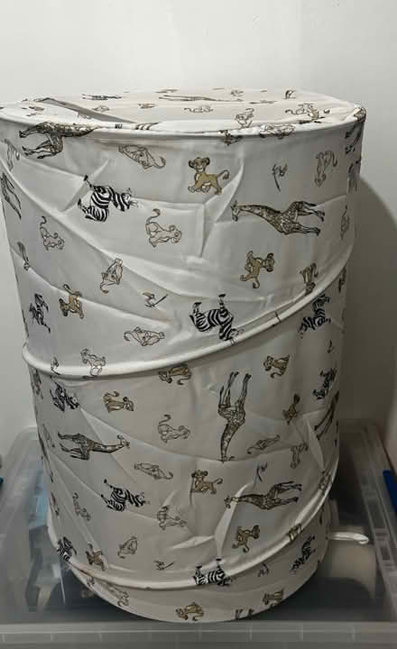 Photo of free Lion king clothes basket (Chatham ME4) #1
