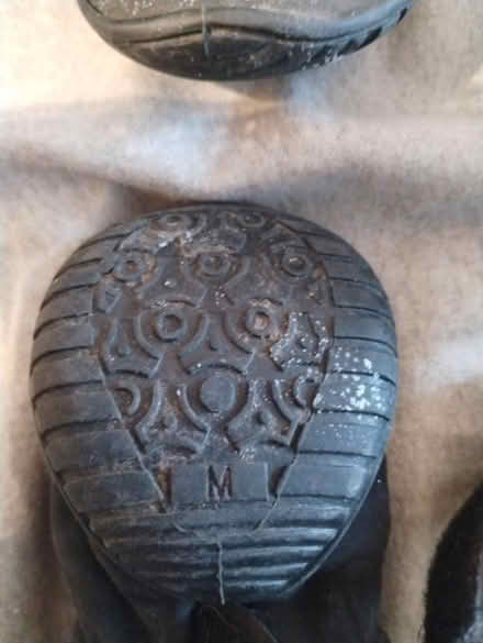 Photo of free M size dog winter boot (Etobicoke) #2